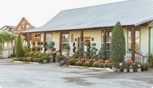 Local plant nursery in Conroe, Texas offering flowers and greenery for boosting home curb appeal