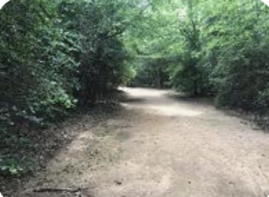 Shaded walking path at Unity Park in Magnolia Texas, close to nearby homes and active real estate communities.