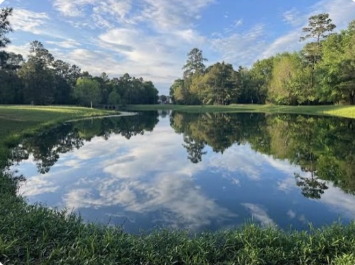 Scenic pond view in Magnolia Texas surrounded by trees and nearby residential communities with growing real estate appeal.