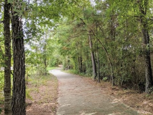 Shaded walking trail surrounded by tall trees in The Woodlands, Texas, a peaceful feature that attracts homebuyers